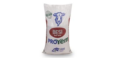 Besi Yemi - Proyem