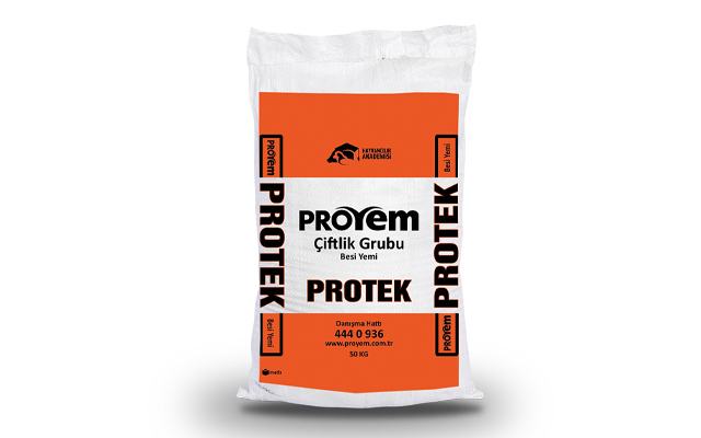 Protek Besi Yemi