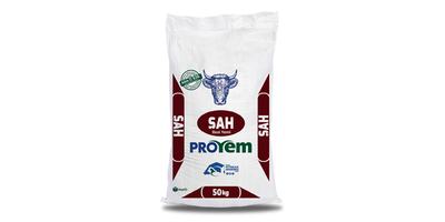 Şah Besi Yemi - Proyem