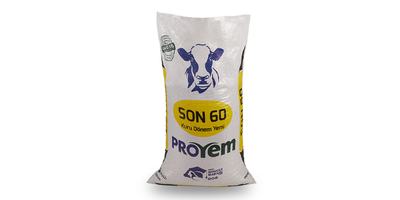 Son 60 Kuru Dönem Yemi - Proyem