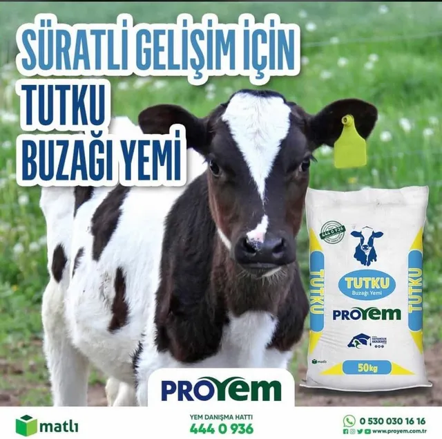 Fotoğraf arşivimizden — 34